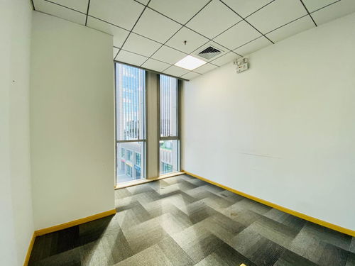 北京家庭的新篇章，探索单独两孩政策的温馨之旅