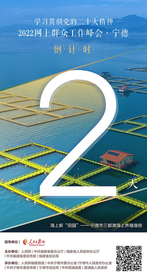 宁德市人民政府，地方治理的典范与市民生活的桥梁