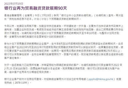 深入解析损失类贷款，识别、影响及管理策略