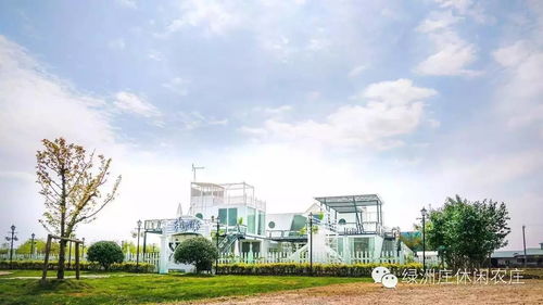 探索西安联合学院，教育的绿洲，梦想的起点