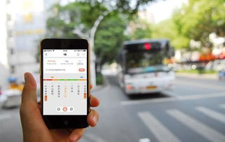 深入探索，结婚证查询的流程、重要性及实用指南