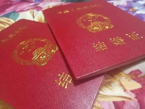 深入探索，结婚证查询的流程、重要性及实用指南