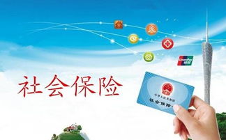 深入解析社会救助办法，构建公平社会的基石