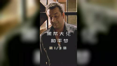 北京黑社会老大，一个时代的终结