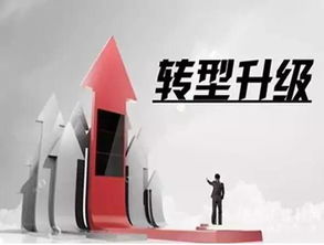 农村信用社的未来，倒闭的边缘还是转型的机遇？