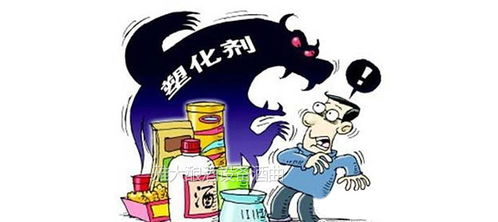 深入了解抵押车，购买前须知与风险评估