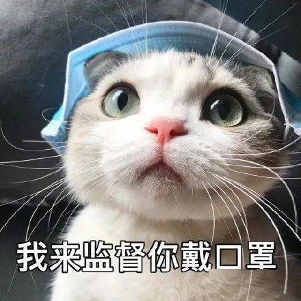 北京新增1例，疫情动态与个人防护指南