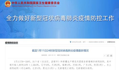 深入解析，31省新增本土确诊42例，河北40例背后的疫情动态与防控策略