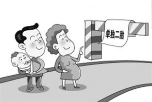 北京单独二胎新政策，家庭规划的新篇章