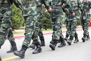 迷彩世界中的守护者，武警迷彩服的奥秘