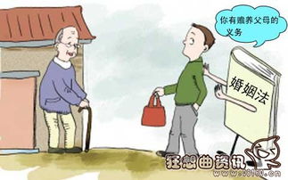 法律与情感的交织，不回家看老人是否违法？