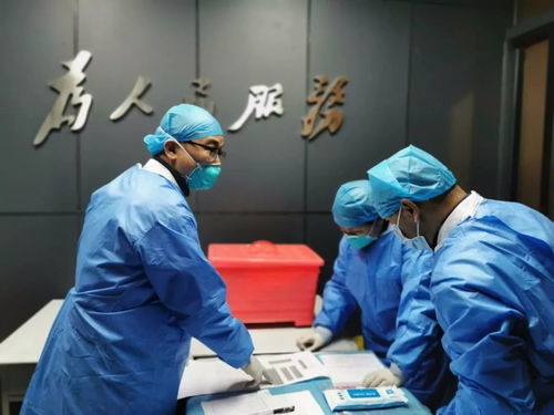 疫情动态，31省份新增确诊33例，了解背后的数据与防控措施