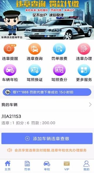 大庆市机动车违章查询指南，如何快速、准确地掌握违章信息