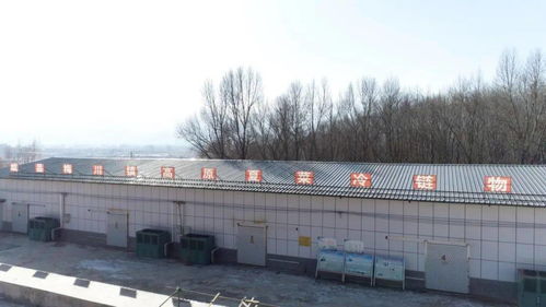 农村专业合作社，农业现代化的桥梁