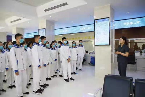 随军家属安置，理解、支持与行动