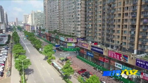 疫情再起波澜，31省份新增本土确诊101例，陕西成为焦点—全国抗疫新动态解析