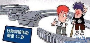 降低行拘年龄至14岁，青少年犯罪的预防与教育新策略