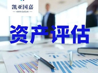 审计与会计，揭开财务领域的两大支柱