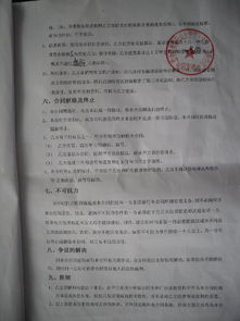 违约责任，英文合同中的关键条款及其法律影响