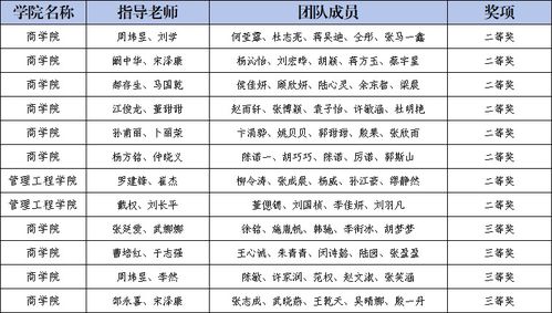 财务负责人，企业财务管理的核心角色