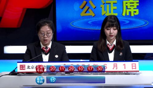 财务负责人，企业财务管理的核心角色