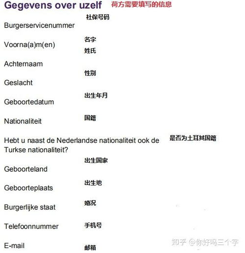 新西兰学生签证时间，申请流程、时间线及实用指南