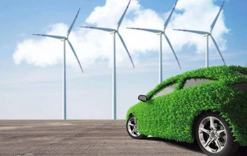 深圳汽车绿标，环保出行的新风尚