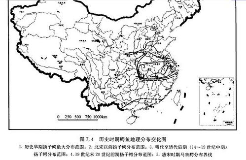土地改革的历史脉络，时间线与深远影响