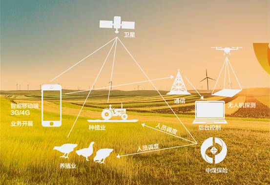 杭州的清新呼吸，全域低风险的美好生活