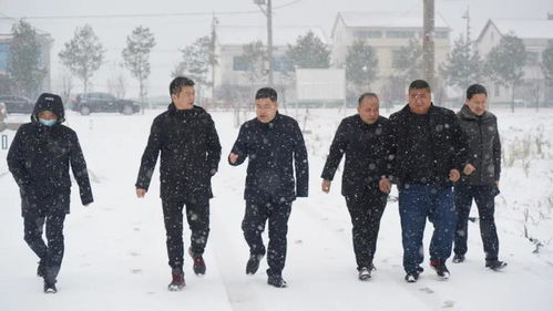 河北疫情最新动态，了解、预防与应对指南