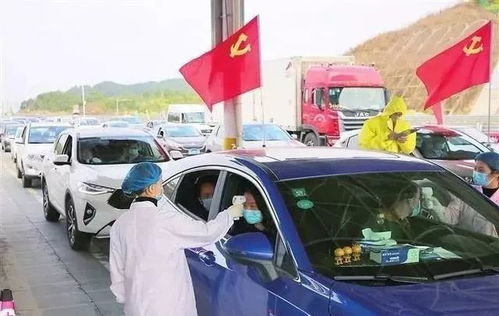 河北疫情最新动态，了解、预防与应对指南