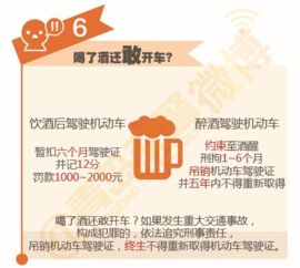 2013年交通法规全解析，安全驾驶的新篇章