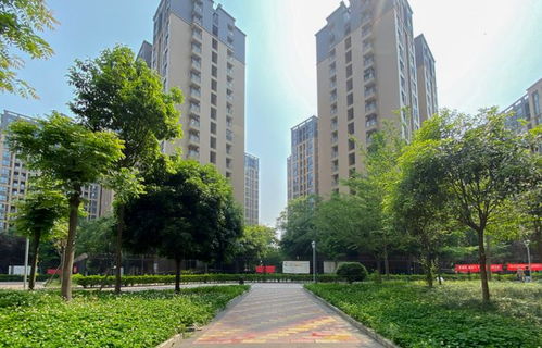 郑州经济适用房，位置选择与生活便利性的平衡艺术