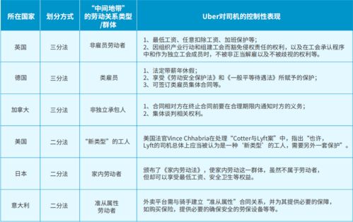 深入了解政府采购法，保障公共利益的法律框架