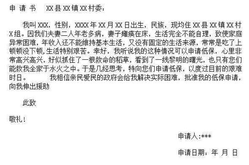 如何撰写城镇低保申请书，一份详尽的指南