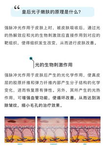 揭开副巡视员的神秘面纱，级别、职责与影响力