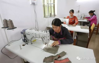 制衣厂厂规，维护秩序与效率的基石