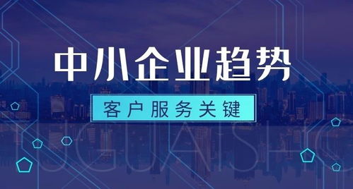 中小型企业贷款，融资的桥梁与挑战