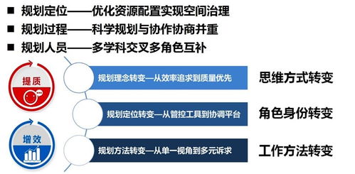 提升行政效率，策略、实践与未来展望