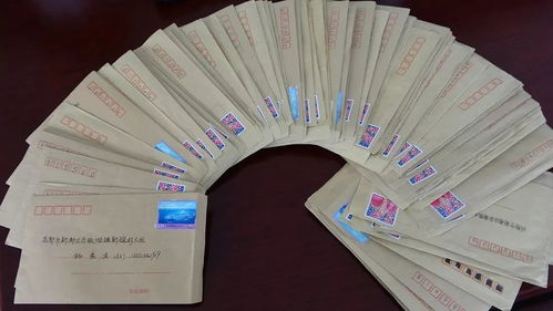 浙江三地新动态，疫情通报与我们的日常生活