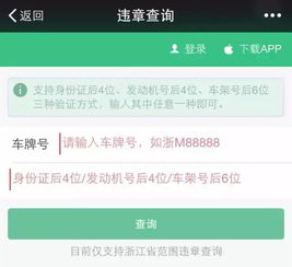 重庆市交通违章查询，便捷、高效、透明
