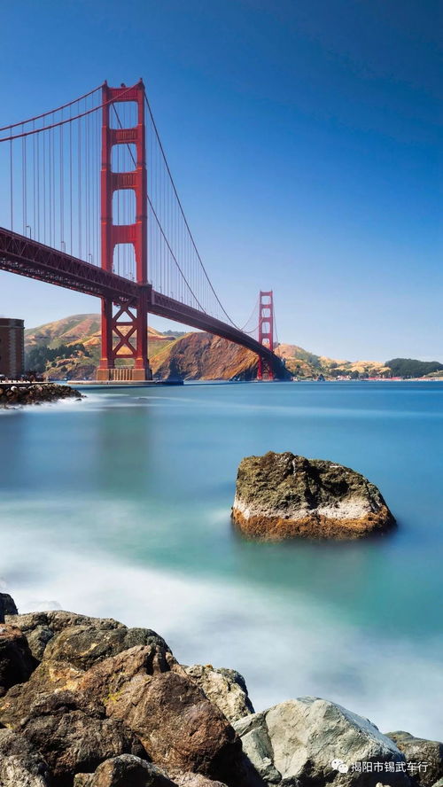 社会福利机构，构建和谐社会的桥梁