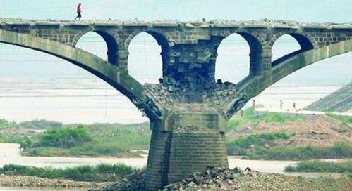 社会福利机构，构建和谐社会的桥梁