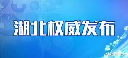 湖北疫情新动态，新增4823例，防控措施与应对策略解析