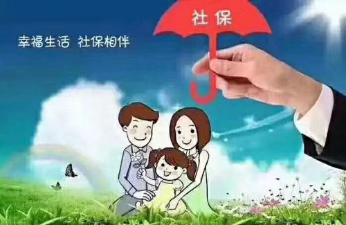 了解居民养老保险，为未来构筑安全网