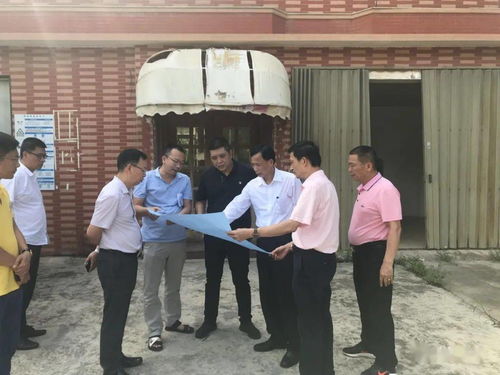 建立和谐关系的桥梁，我和我的继女