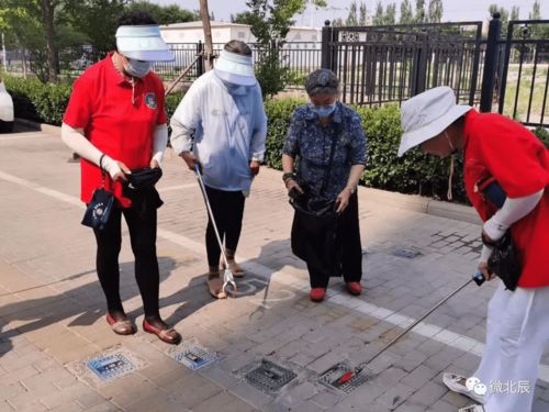 建立和谐关系的桥梁，我和我的继女