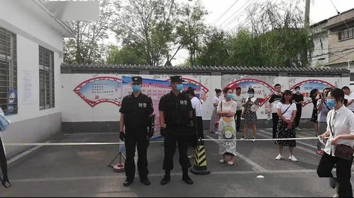 天空的守护者，揭秘捕杀野生候鸟案的背后故事