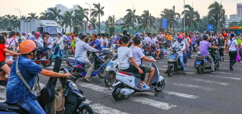 海口电动车上牌，便捷出行的必经之路