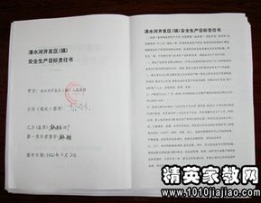 安全之盾，揭秘安全生产责任书范本的力量